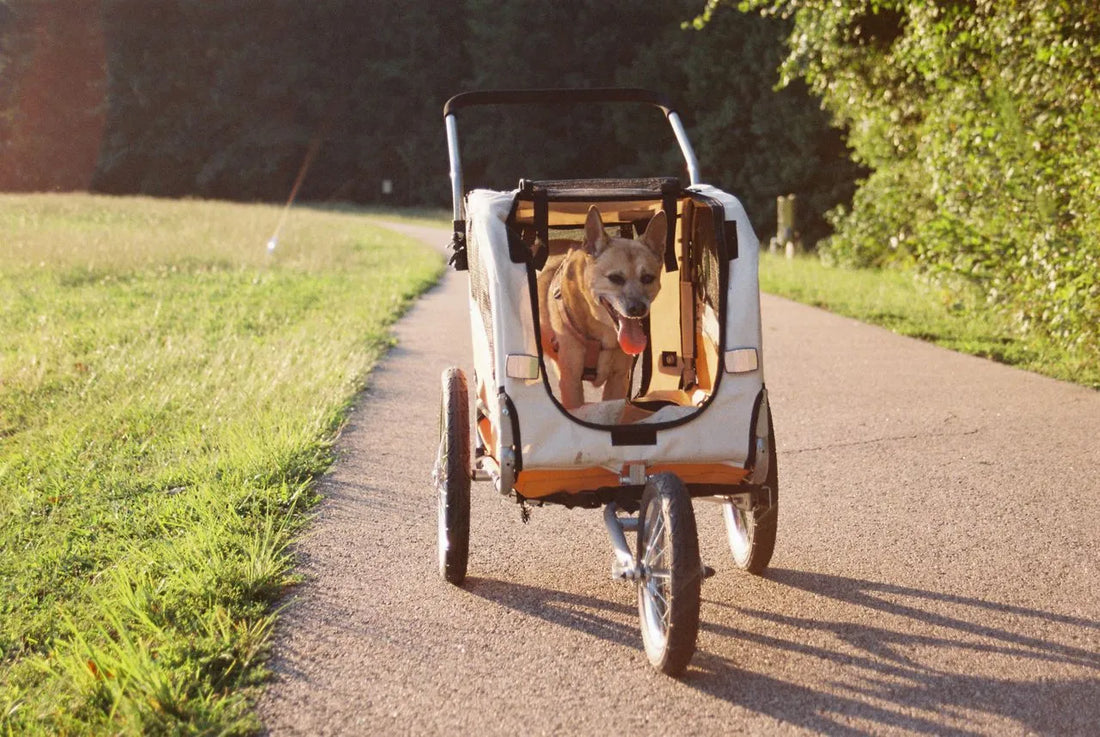 beste-hondenfietskarren-test