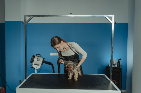 beste-waterblazers-voor-honden