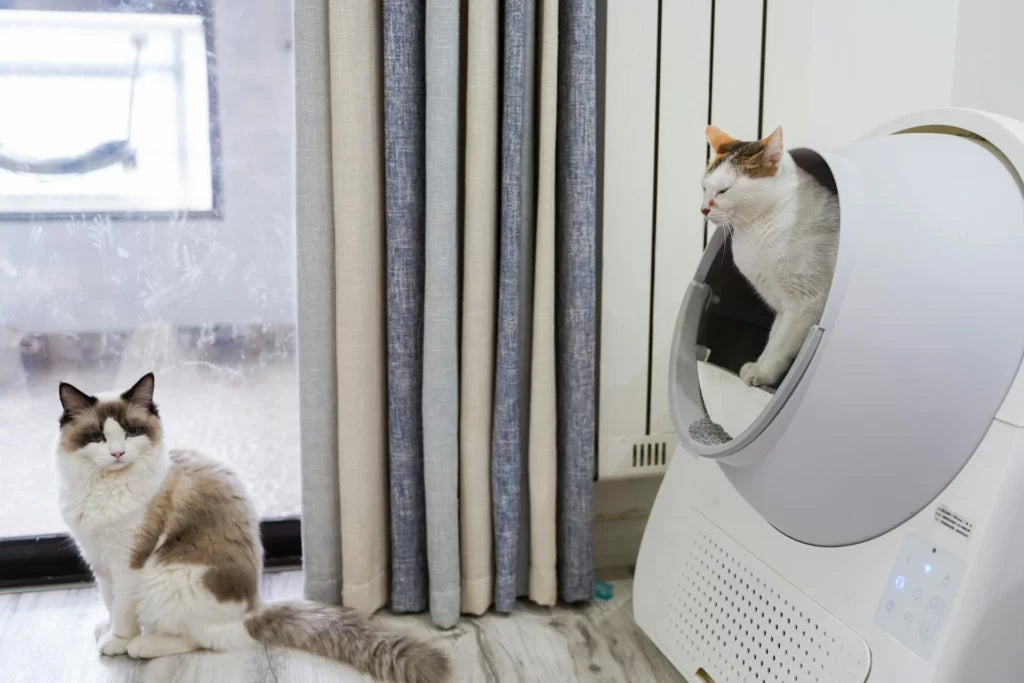 beste-zelfreinigende-kattenbak-automatische-review