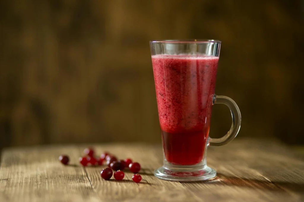beste-slowjuicer-getest