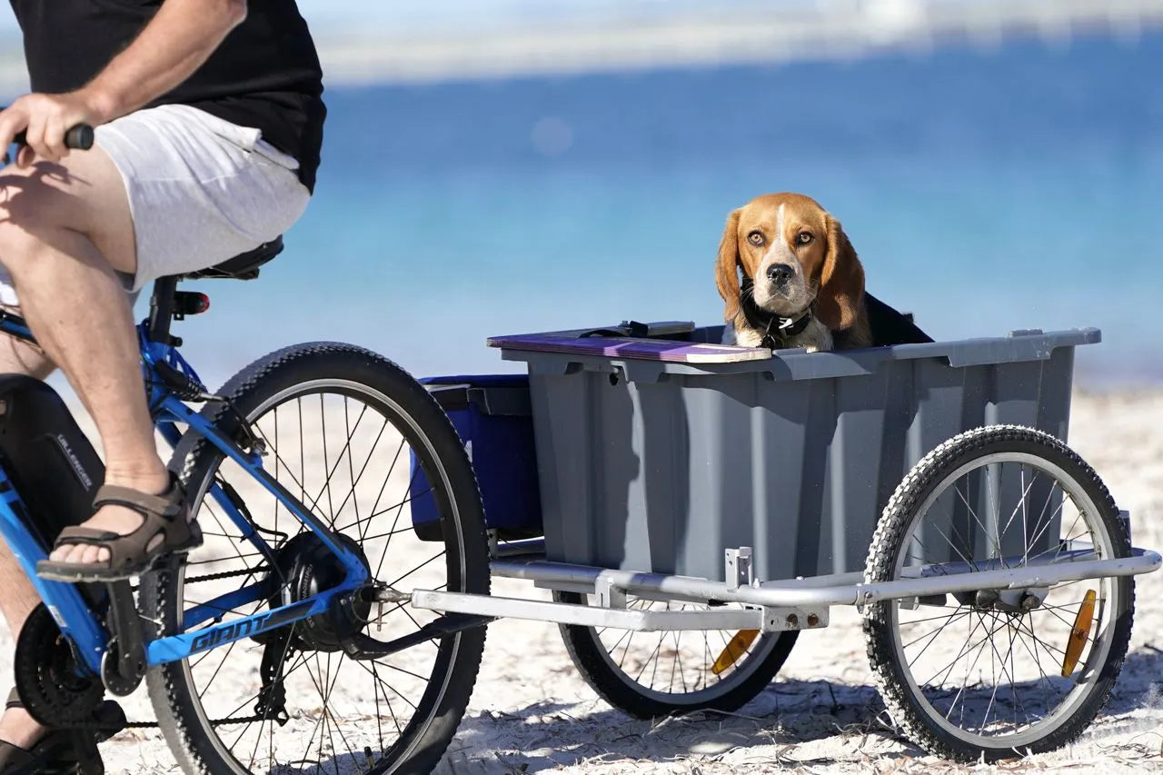 De 6 Beste Hondenfietskarren van 2026