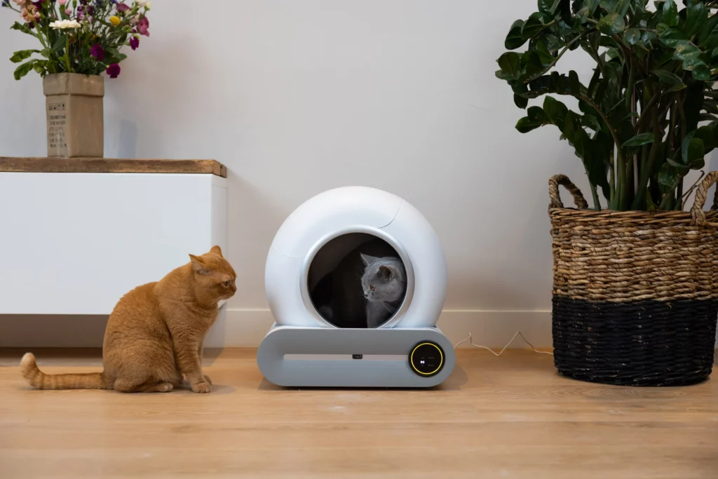 beste-automatische-kattenbak-test