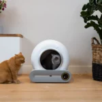 beste-automatische-kattenbak-test